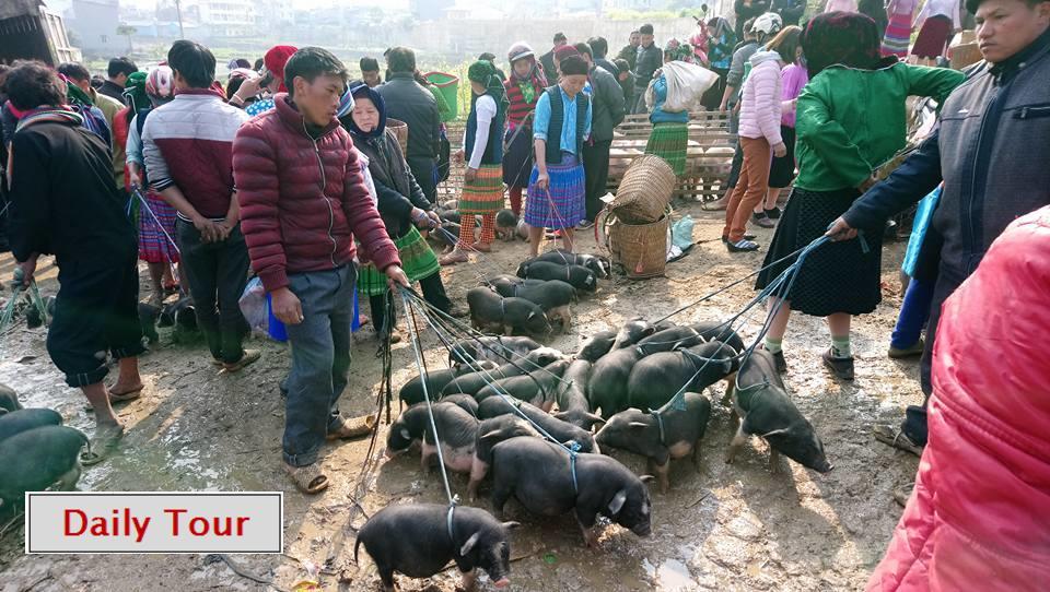 河江 哈吉安迷人旅舍旅舍 外观 照片