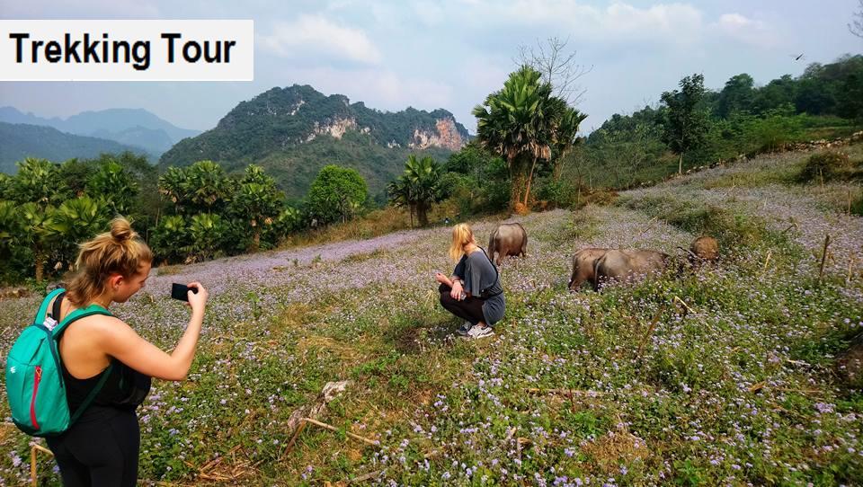 河江 哈吉安迷人旅舍旅舍 外观 照片